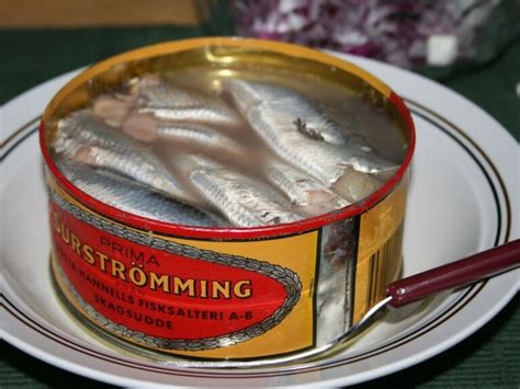 smelliest fish in the world|Swedish Surströmming – Everything You Need To Know